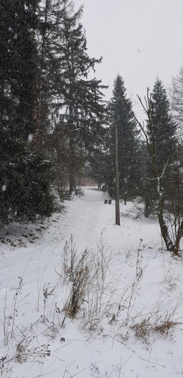 Chata Na Kovárně Rýmařov Exterior foto