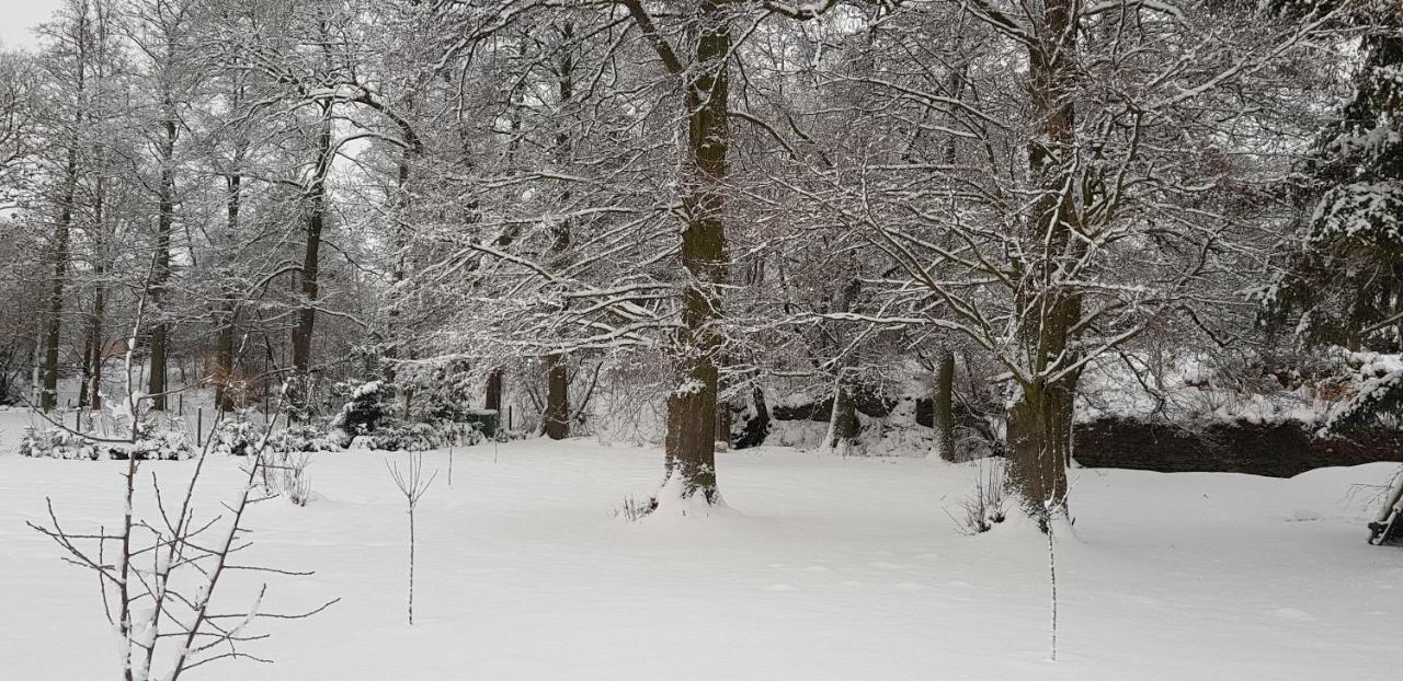 Chata Na Kovárně Rýmařov Exterior foto